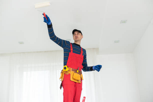 Professional Mold Removal in Los Chaves, NM
