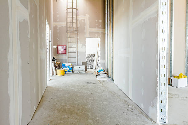Best Real Estate Mold Inspection  in Los Chaves, NM