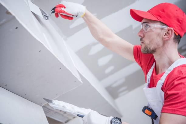 Best Industrial Mold Remediation  in Los Chaves, NM
