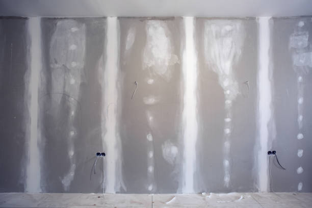 Best Water Damage & Mold Remediation  in Los Chaves, NM